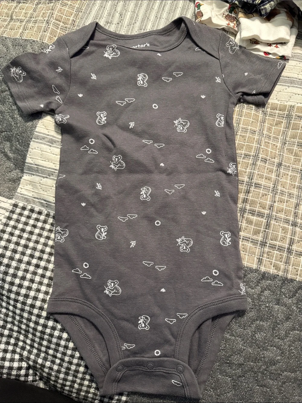 Baby Onesies (set of 2)